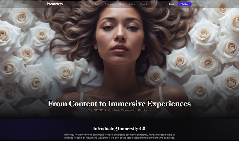 Image for Immersity