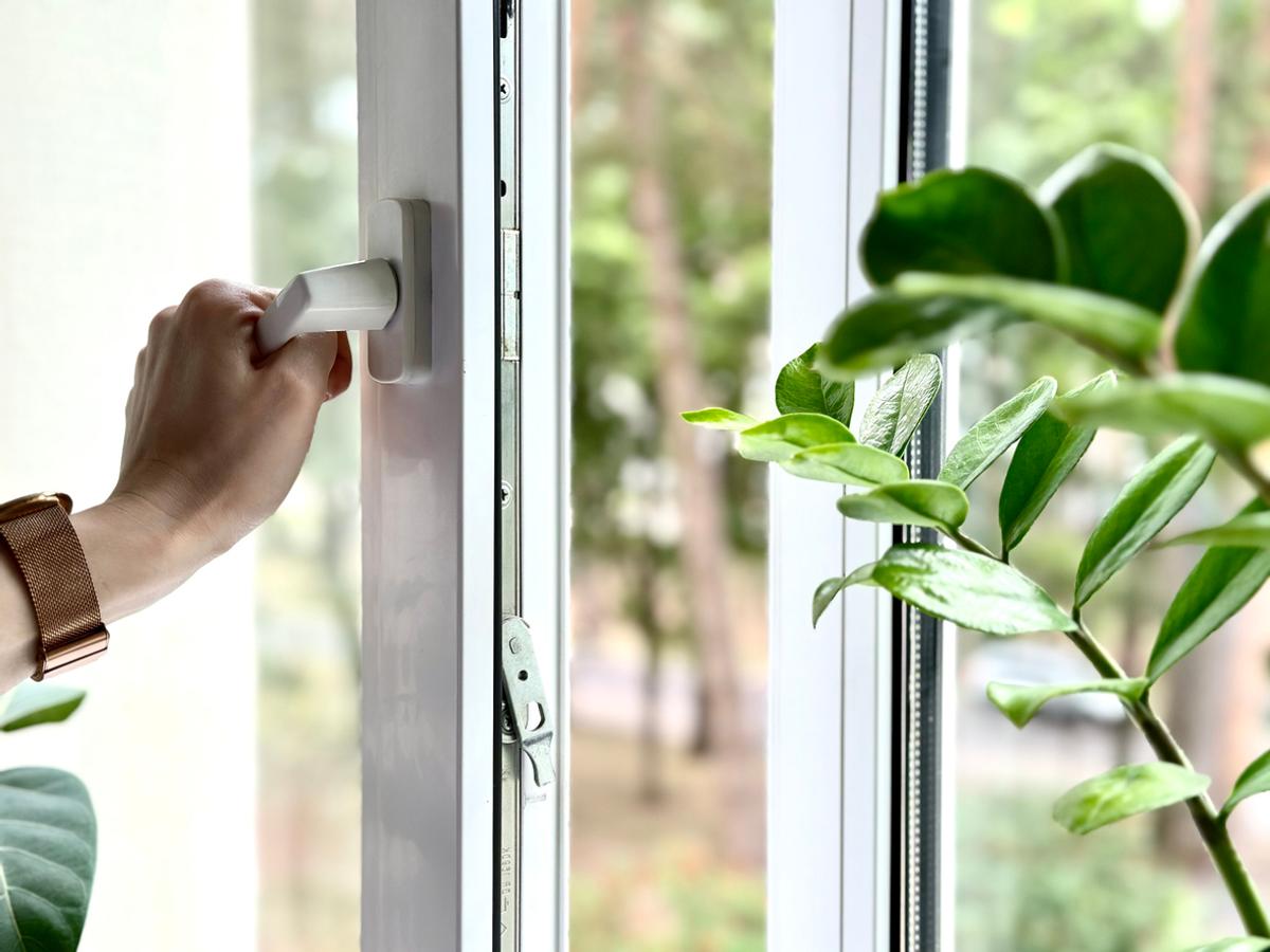 Hånd som åpner et vindu, med plante i vinduskarmen.