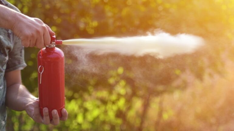 Image next to the text