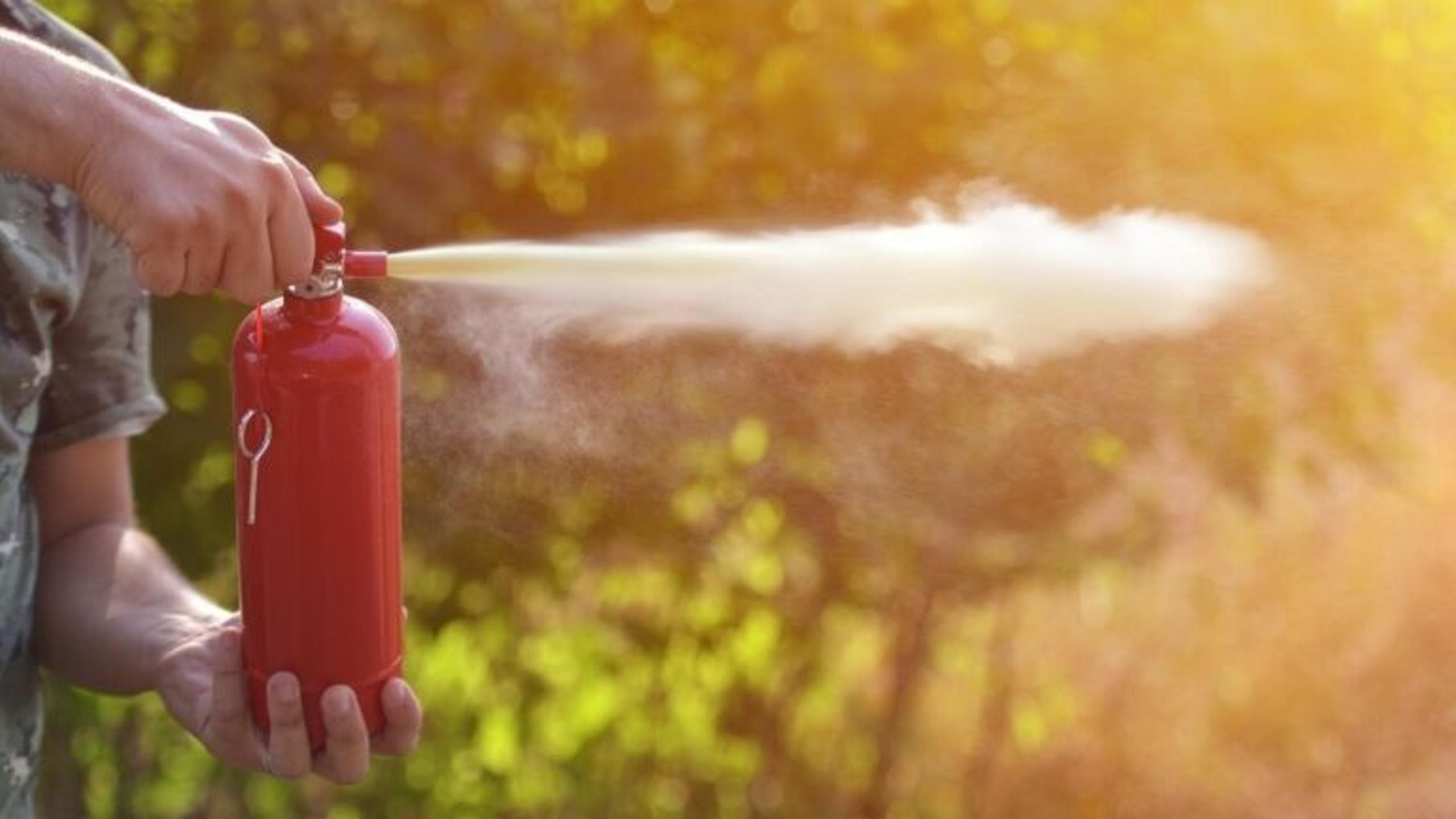 Image next to the text