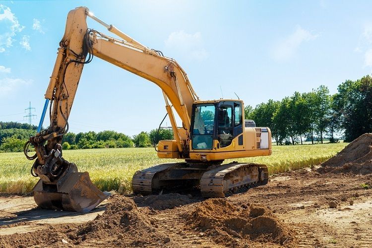 Image next to the text