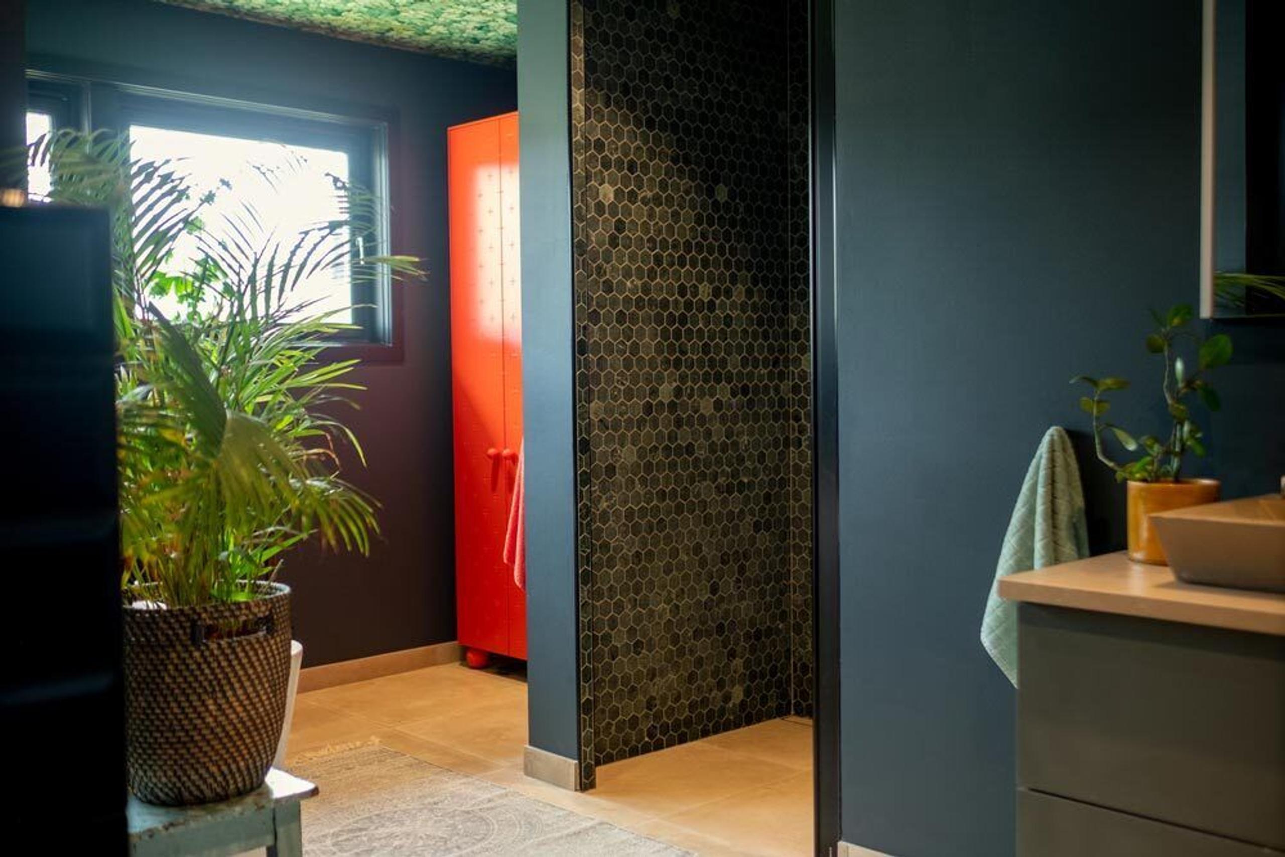 Image next to the text