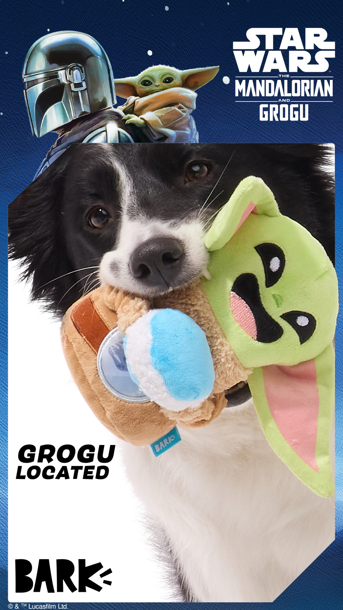 BarkBox Star Wars creative showing a dog holding a Grogu-themed toy