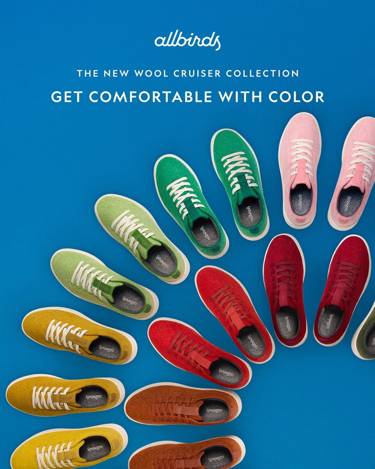 Allbirds Wool Cruiser collection ad showing several shoe colors on a blue background.