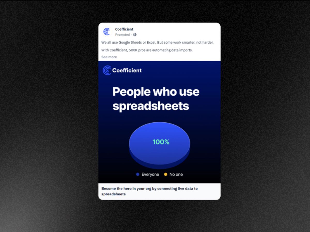 Pie chart with a single 100% slice labeled "People who use spreadsheets." Clean meme format, single visual joke, LinkedIn native aesthetic