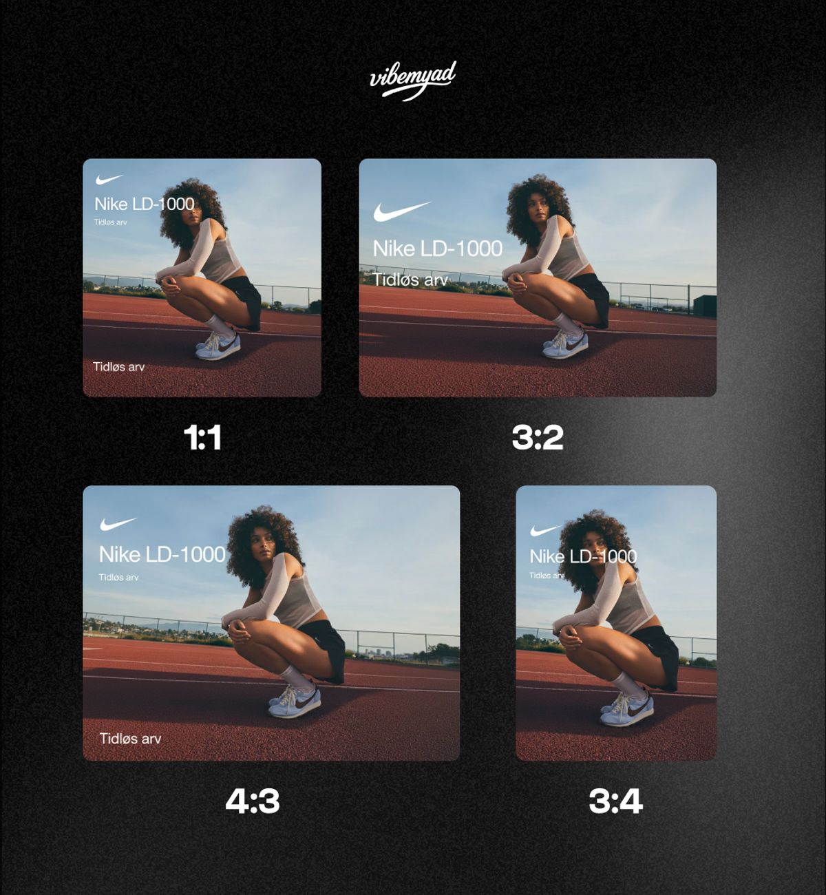 Multiple Aspect Ratio (already in Vibemyad)