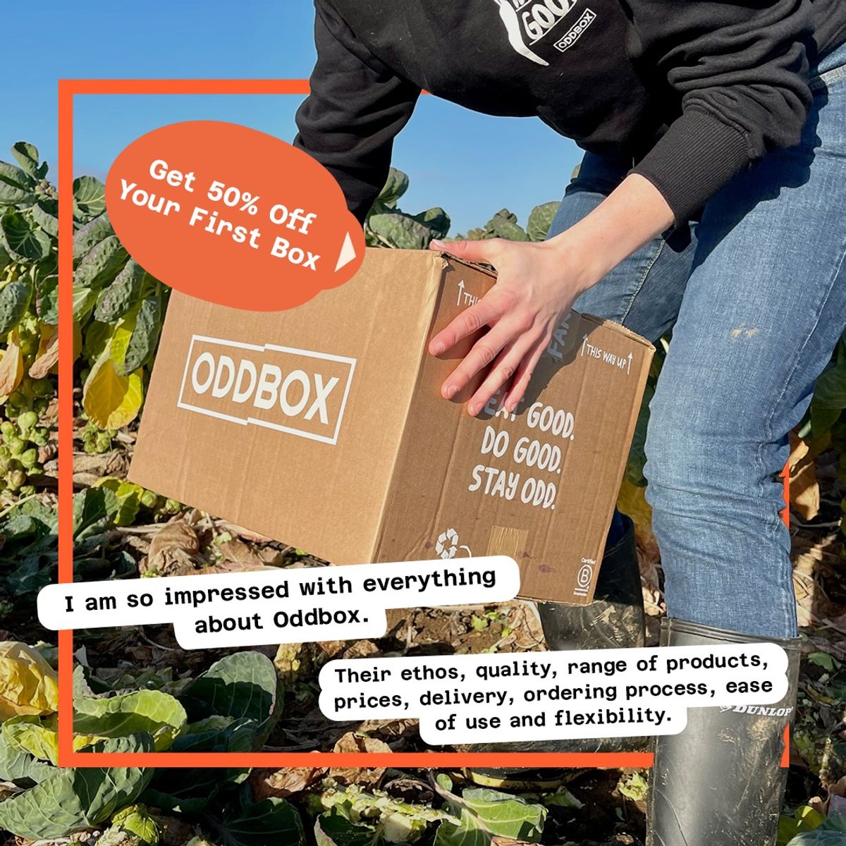 Oddbox delivery and ordering review