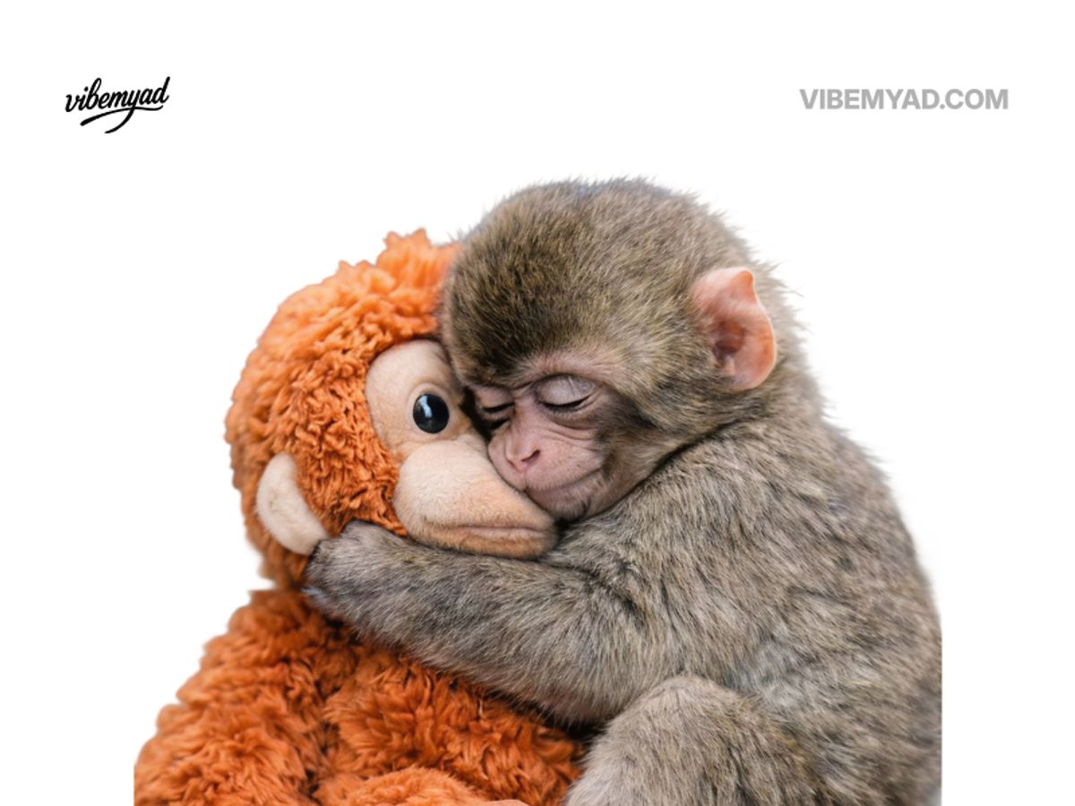 Abandoned Monkey Punch