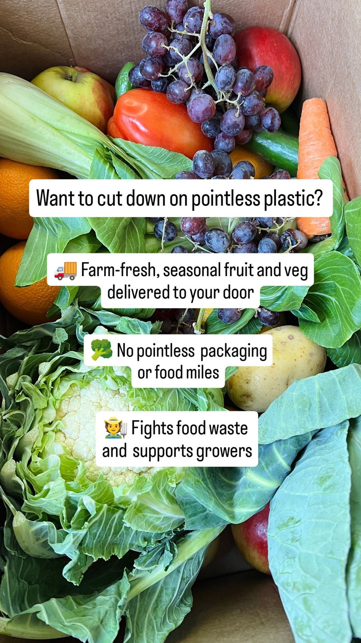 Oddbox produce delivery and packaging message