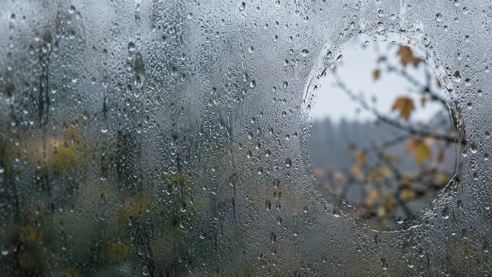 Rain-beaded glass with one small clear opening onto blurred autumn branches