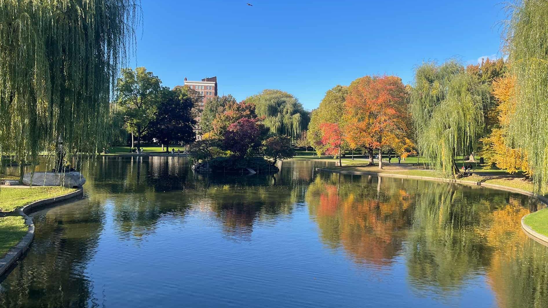 Picture of the Boston Garden pond.