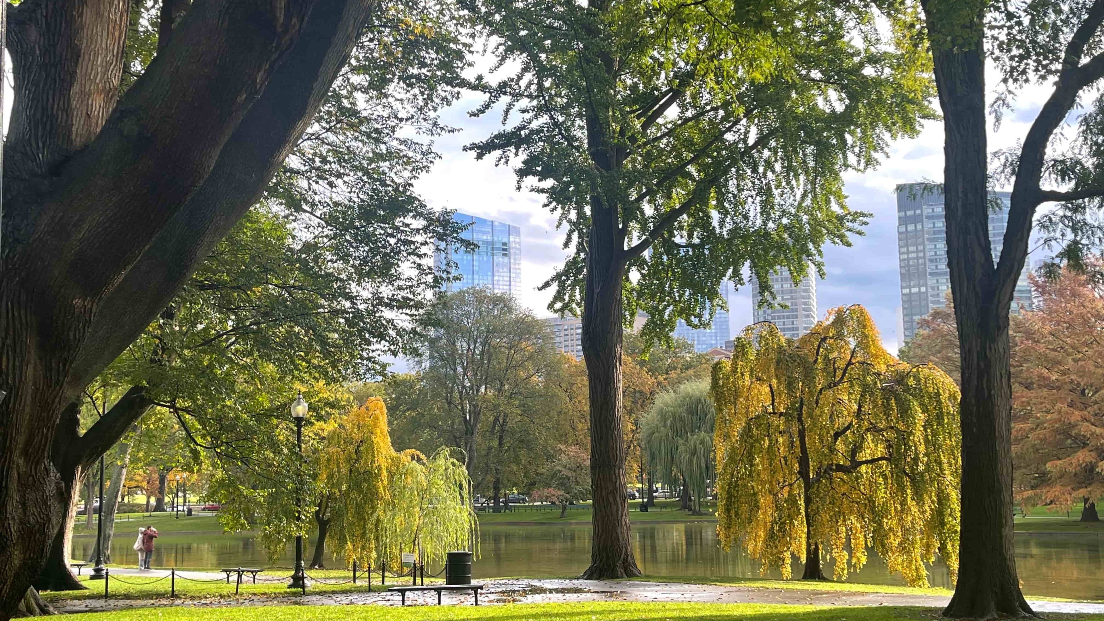 Picture of the Boston Garden pond.