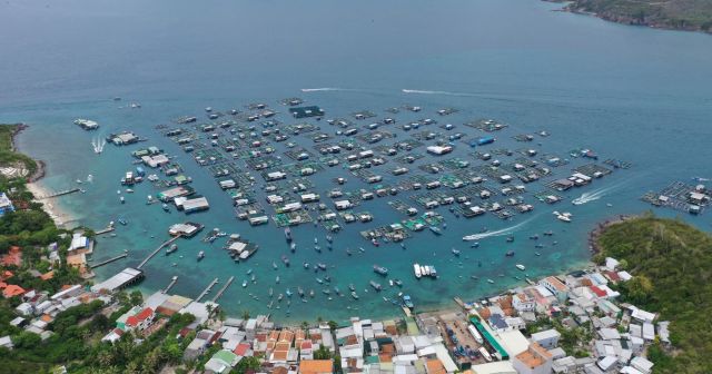 Hòn Miễu - Anh Nha Trang Travel
