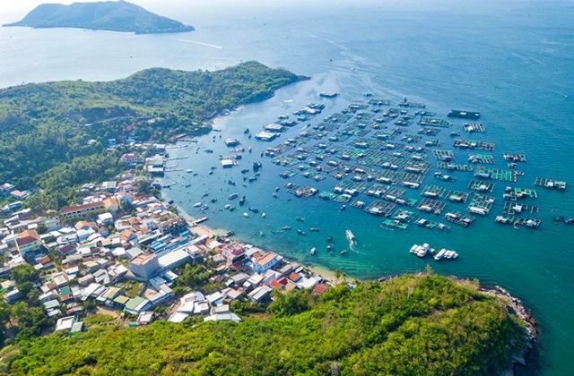 Hòn Miễu - Anh Nha Trang Travel