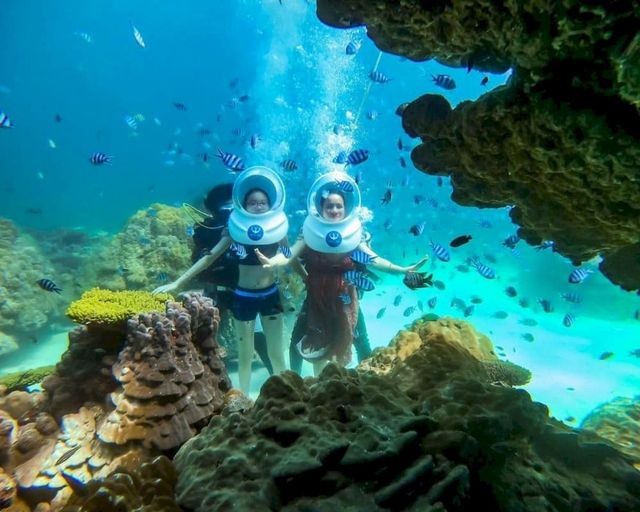 Lặn biển với bình khí - Anh Nha Trang Travel
