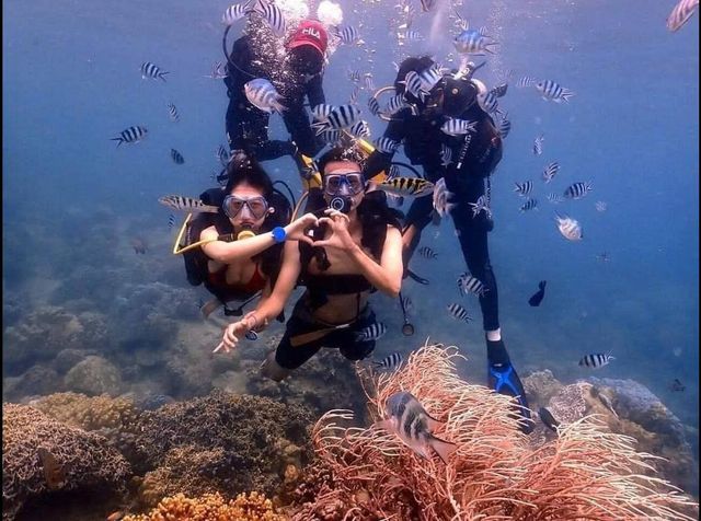 Lặn biển với bình khí - Anh Nha Trang Travel