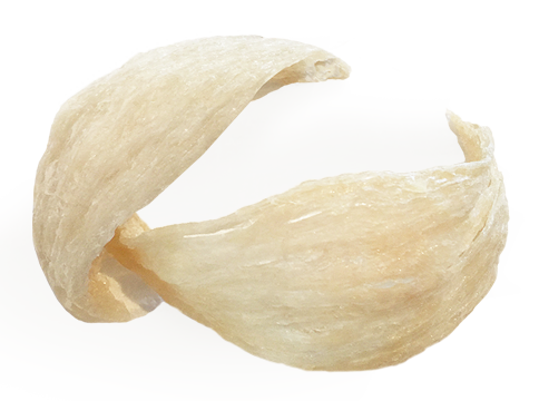Yến sào