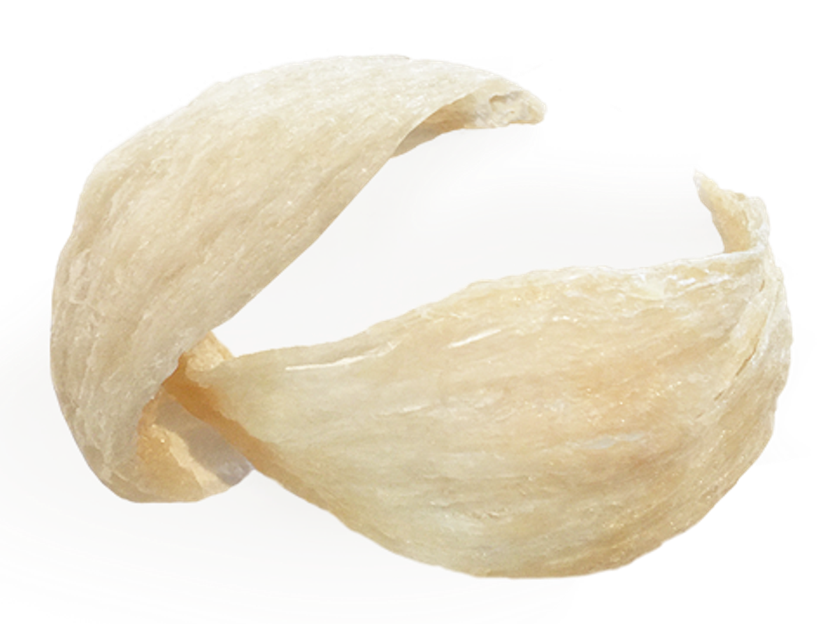 Yến sào