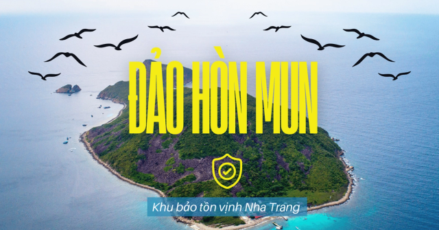 Lặn biển Nha Trang cho người mới - Anh Nha Trang Travel