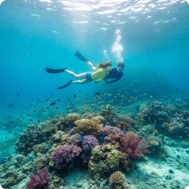 Lặn biển với bình khí - Anh Nha Trang Travel