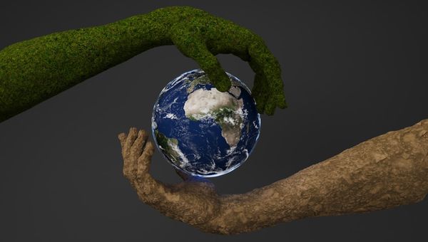 What "1% for the Planet" Actually Means (and What It Doesn't)