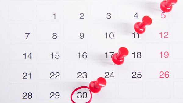 What to Do in the First 48 Hours After Submitting an Application