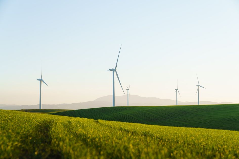 a field of green grass with wind turbines in the background