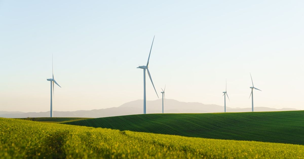 a field of green grass with wind turbines in the background