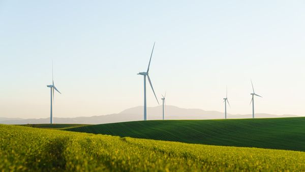 Sustainability in AI Products: What We're Doing and Why It's Hard