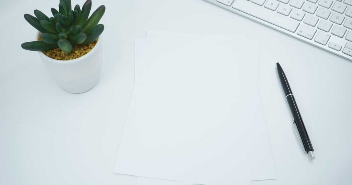 green cactus plant on white table