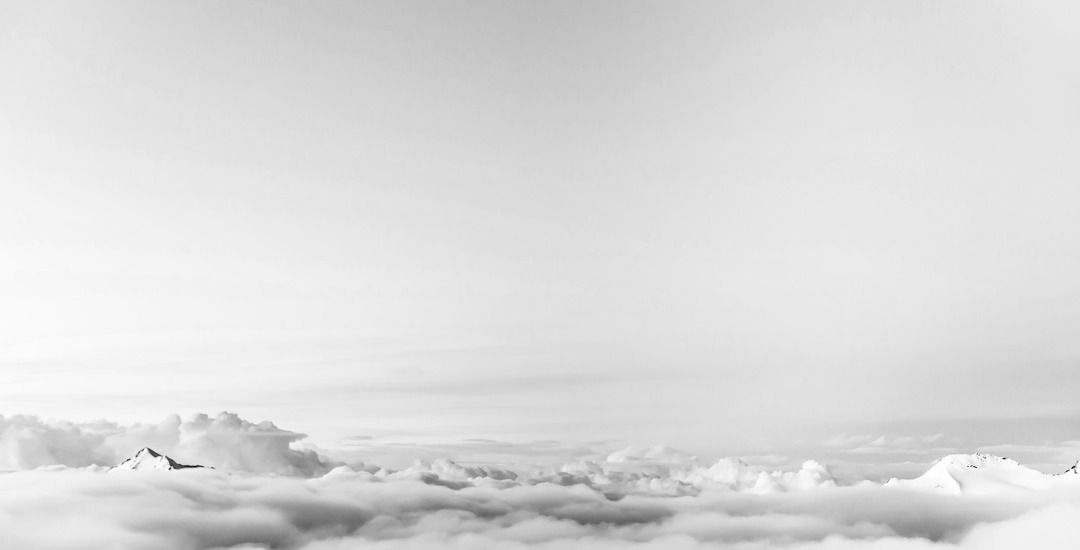 Why the Most Important Information Rarely Reaches the CEO