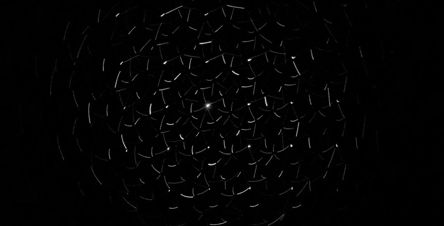 Faint sparks scattering in darkness, representing learned scepticism toward HR surveys