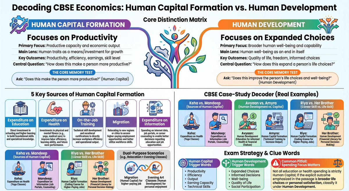 Human Capital vs Human Development Class 12: CBSE Case-Based Questions — Concept visual breakdown and marking scheme infographic