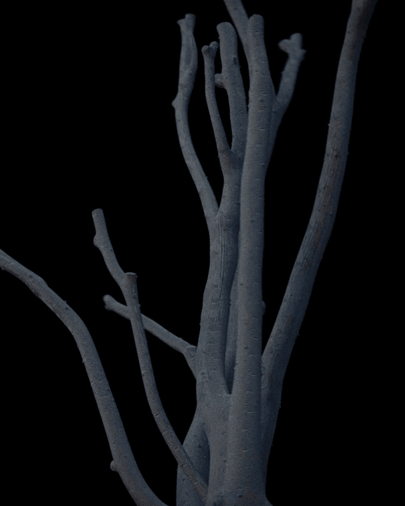 set-object; (2019) by bradley walker