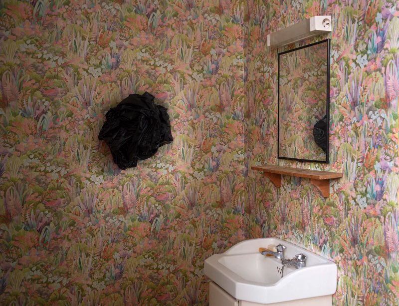 Camera Hallucida (2021) by Cleo Campert