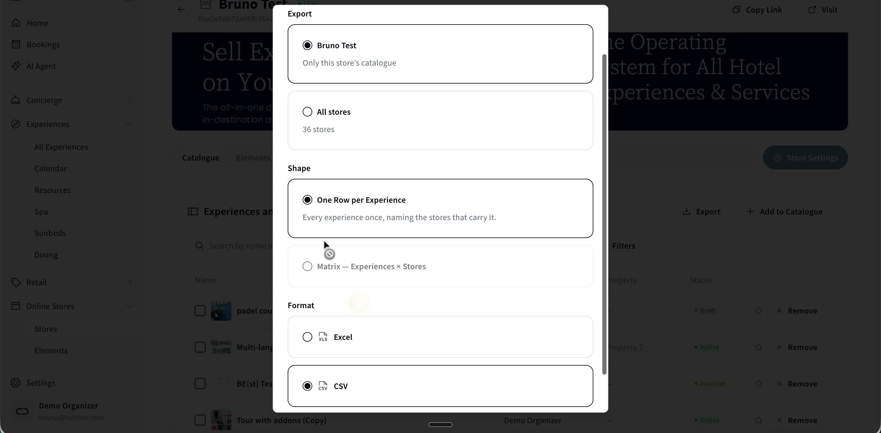 The Export dialog — choose a shape (one row per experience, or a matrix) and a format (Excel or CSV).