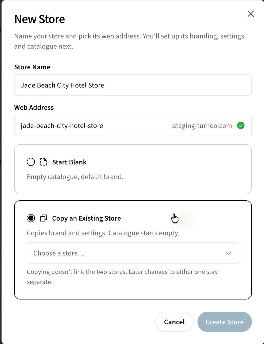 Naming a new Store and choosing Start Blank or Copy an Existing Store.
