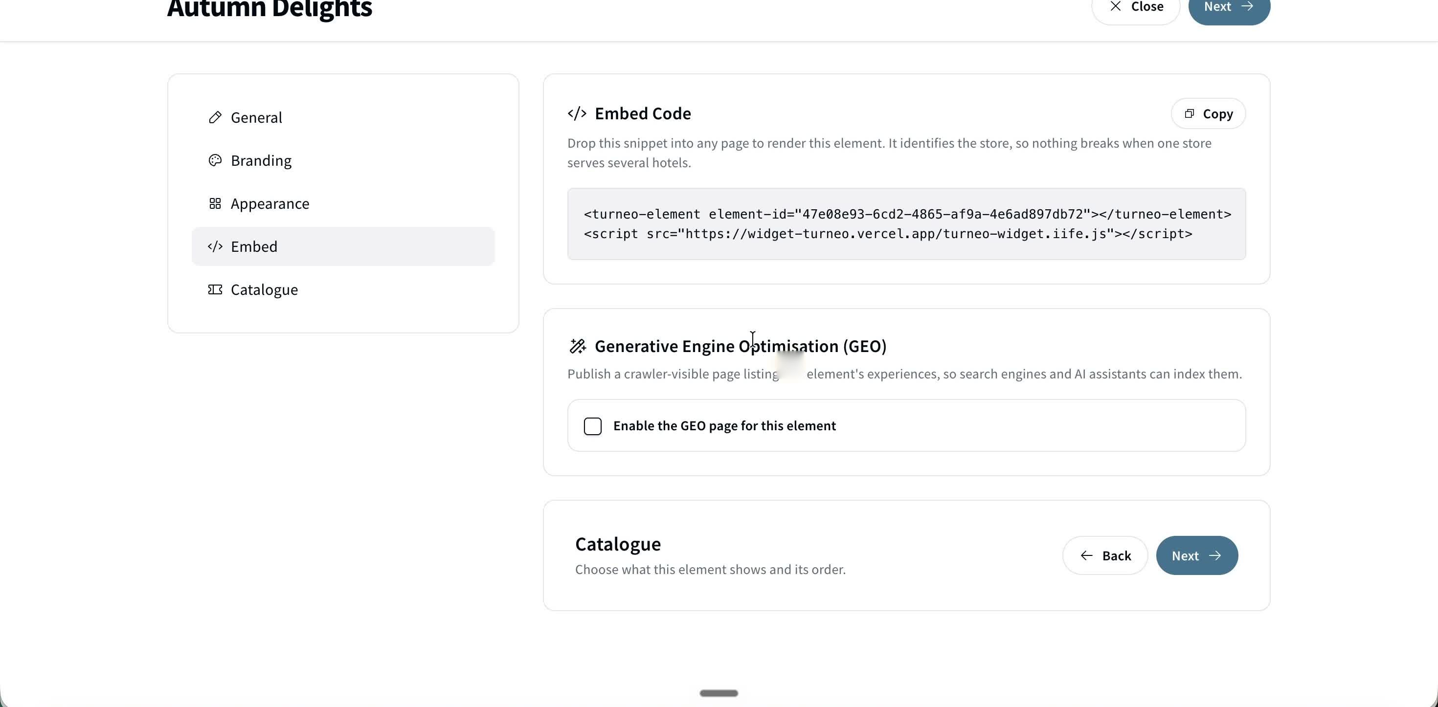 The Embed tab — embed code, and the Geo add-on.