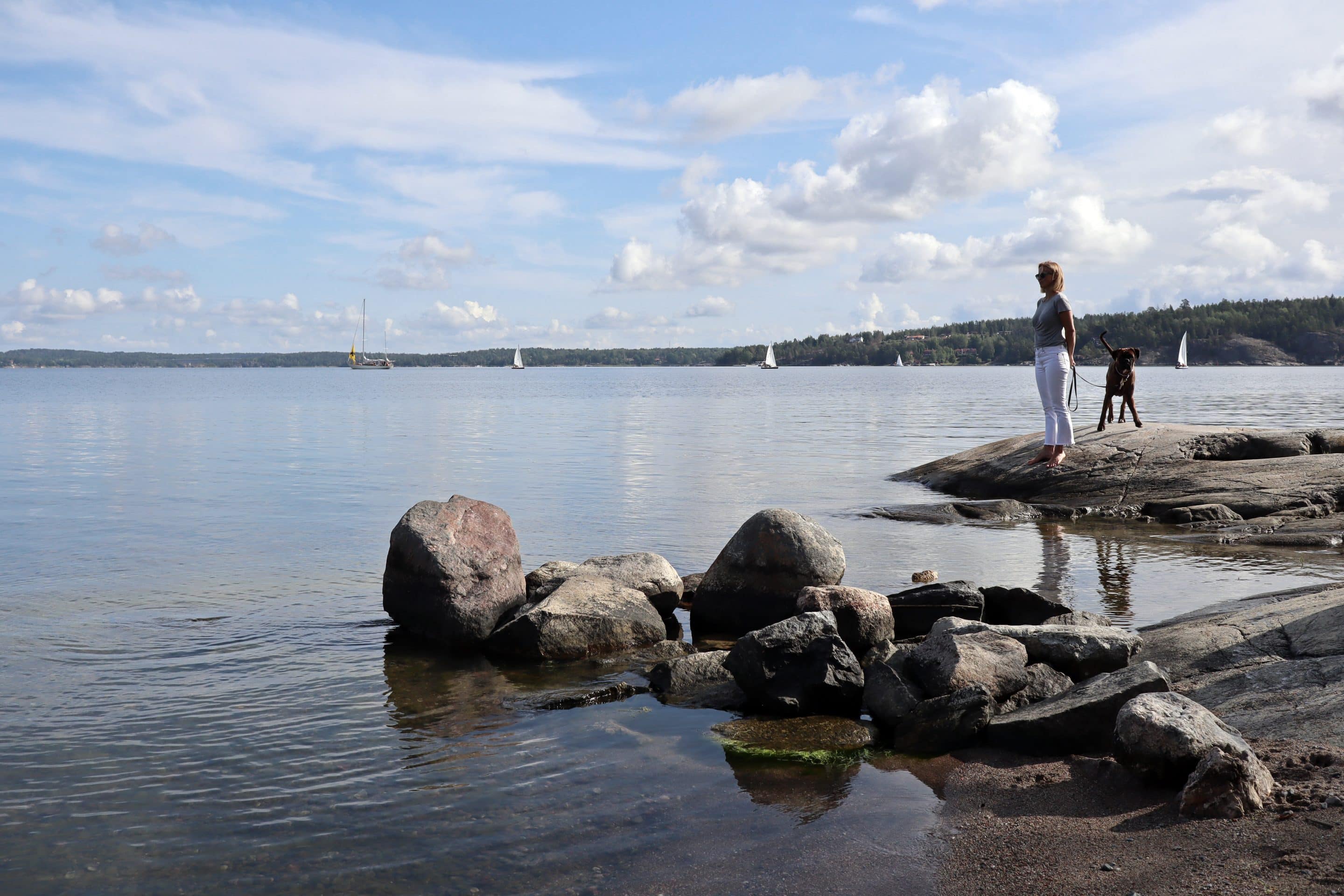 Vår Gård utomhus sommar hav strand gäst hund