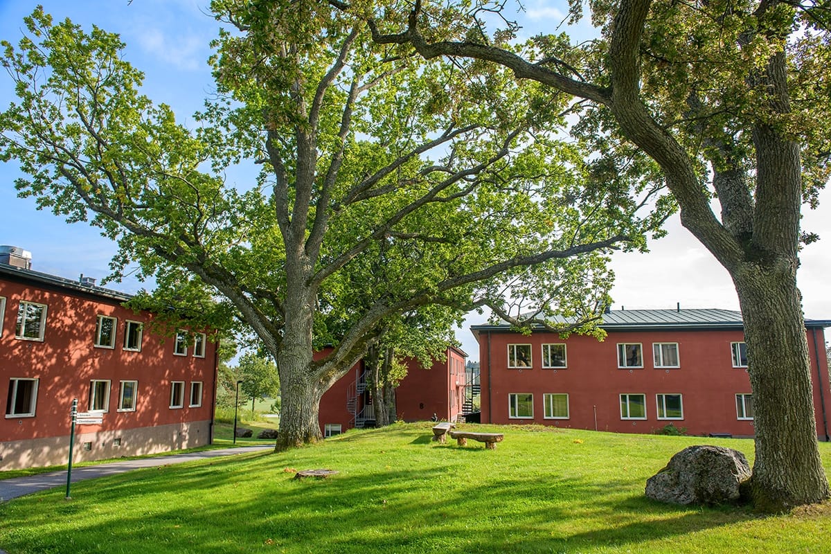 Runö Möten och Events externt