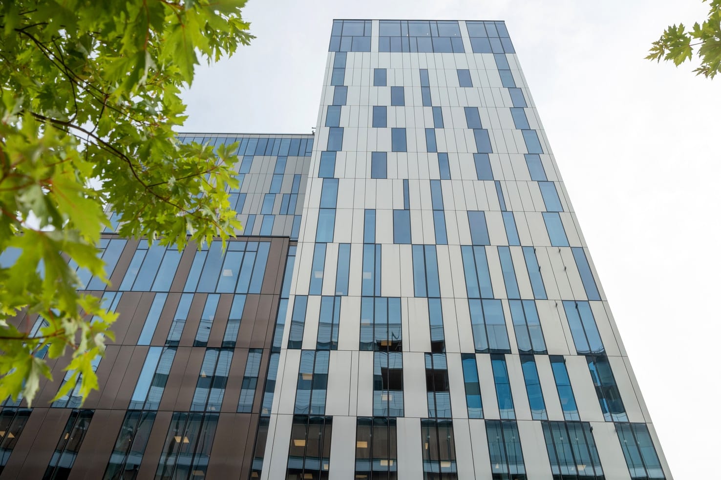 Elite Hotel Carolina Tower externt