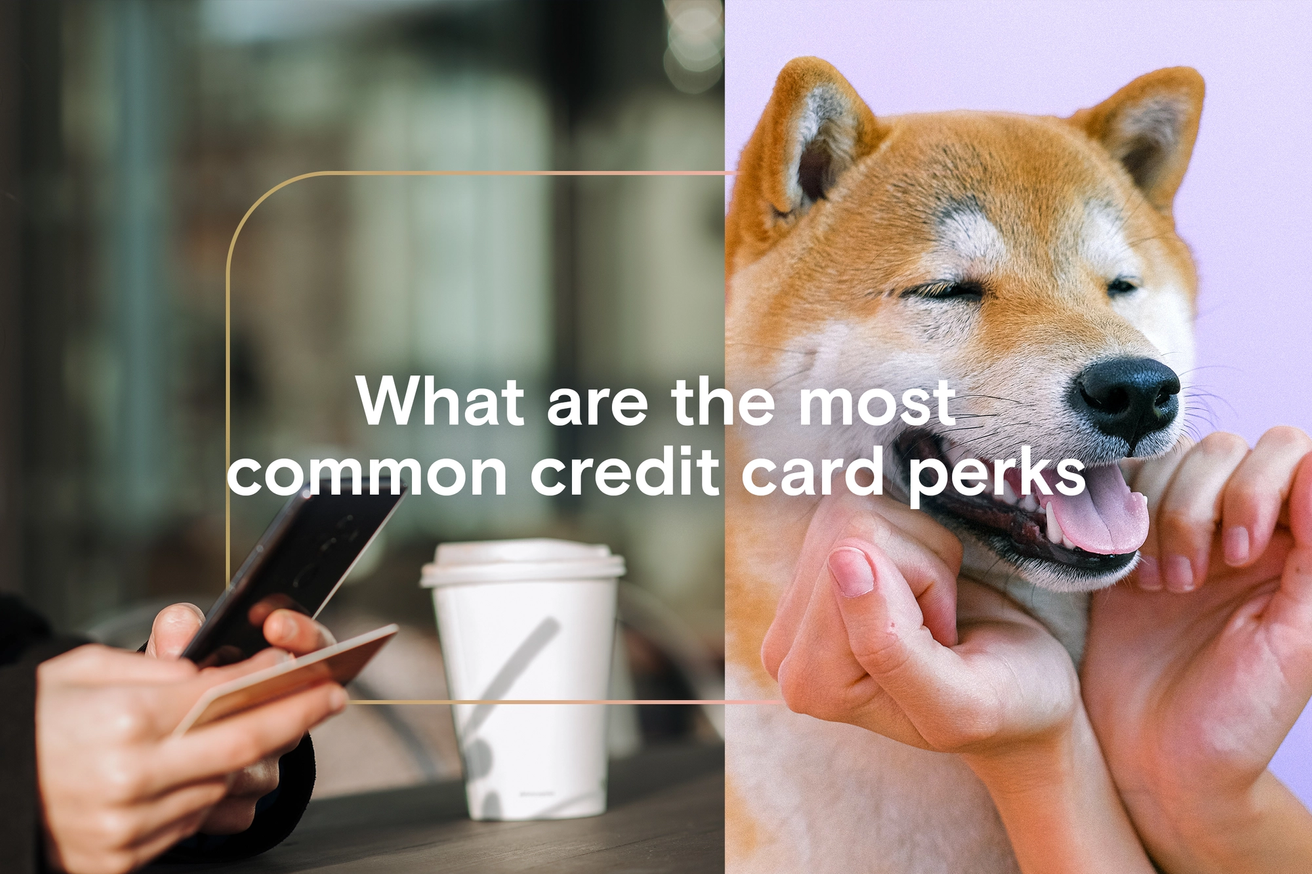 What are the most common credit card perks?