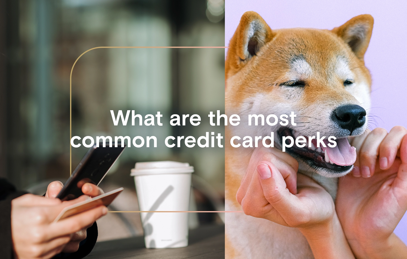 What are the most common credit card perks?