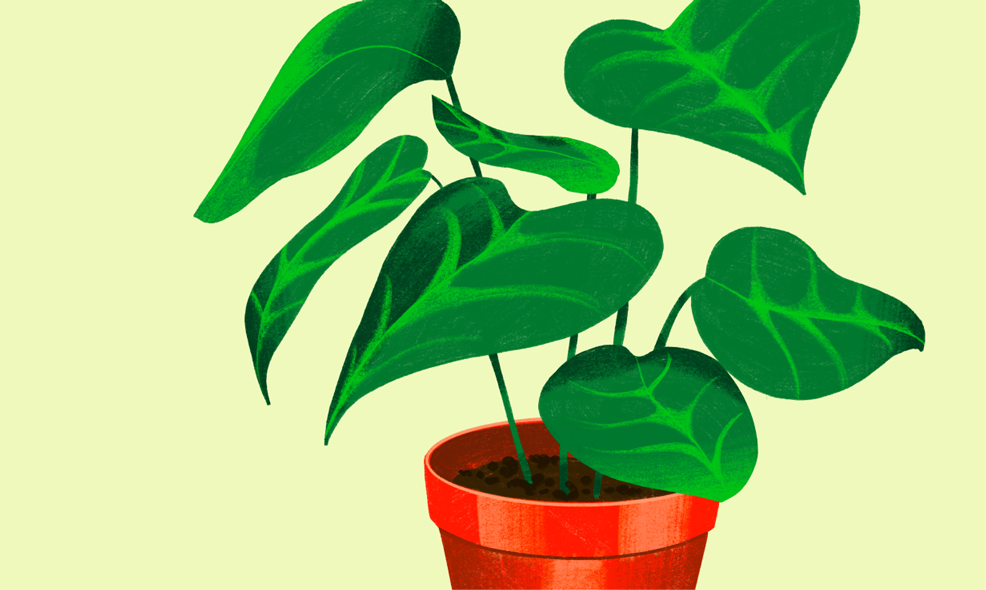 socially responsible investing guide