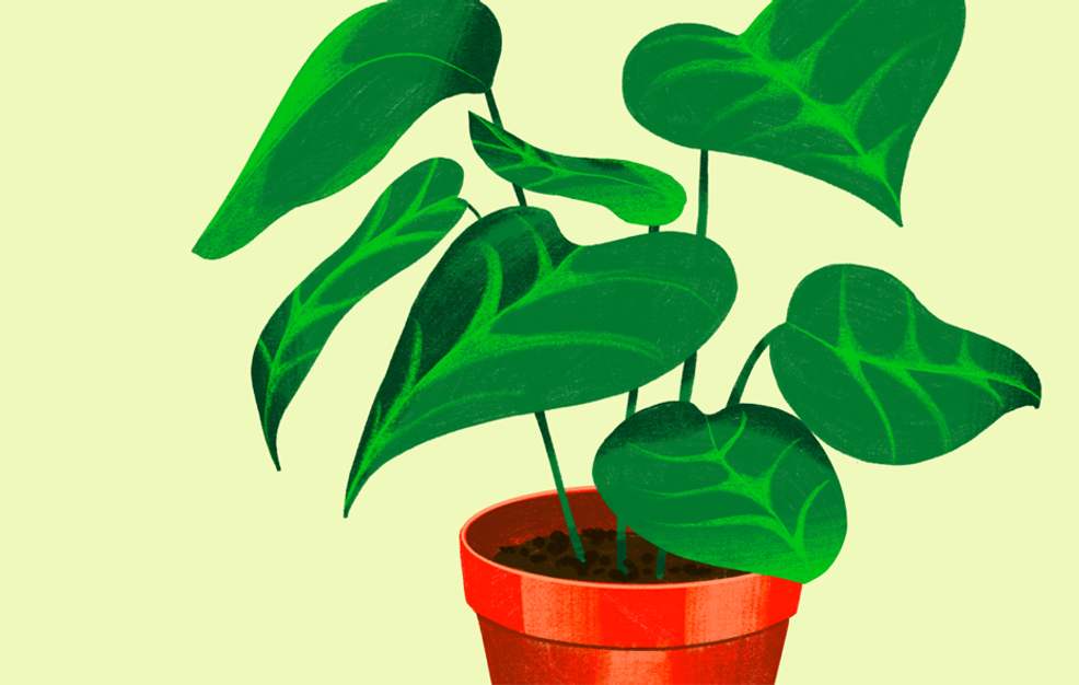 socially responsible investing guide