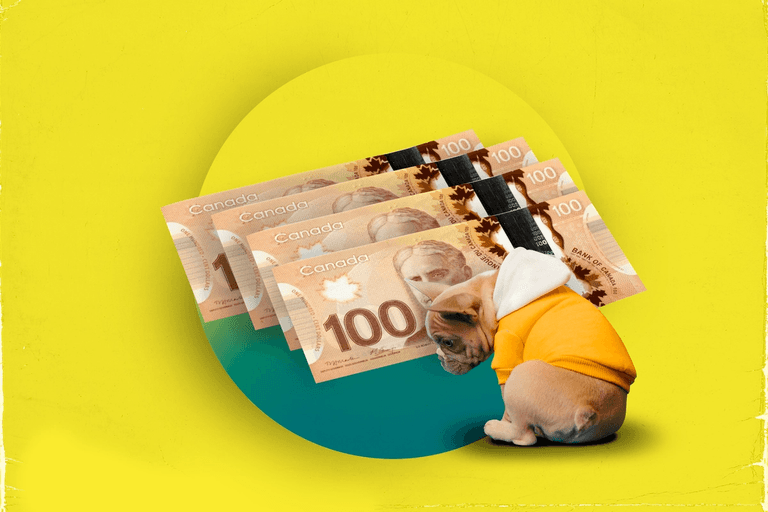 Is Cryptocurrency Taxable In Canada? What You Need To Know