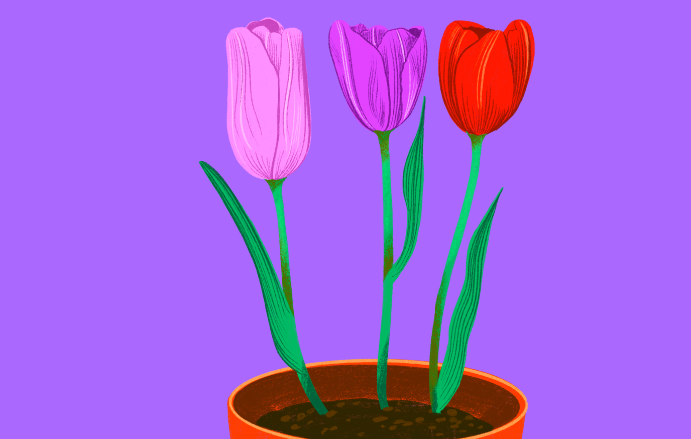 How do High Interest Savings Accounts Work?