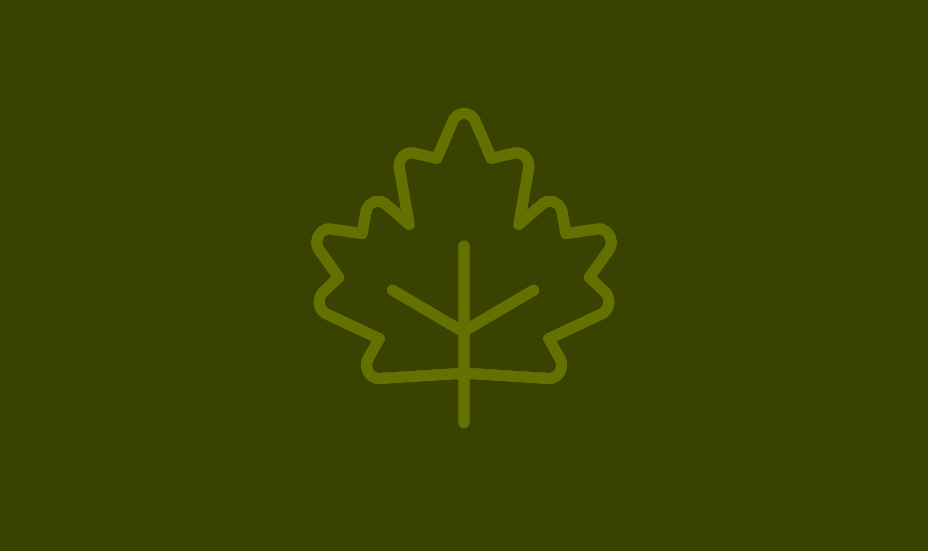 crypto safety and risks