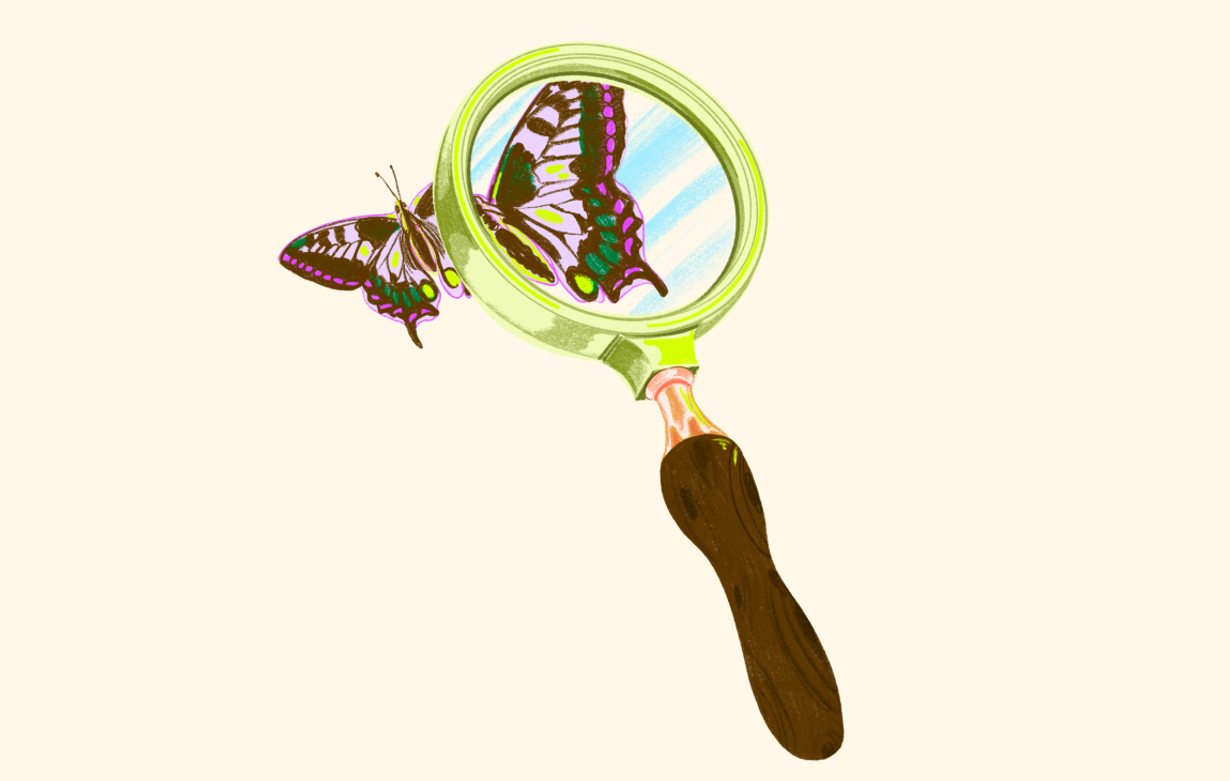 Credit Building Tools