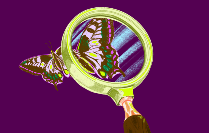 Will overdraft fees damage your credit?